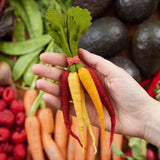 Rainbow Carrot Bunch Ornament