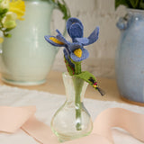 Iris Flower with Firefly & Vase