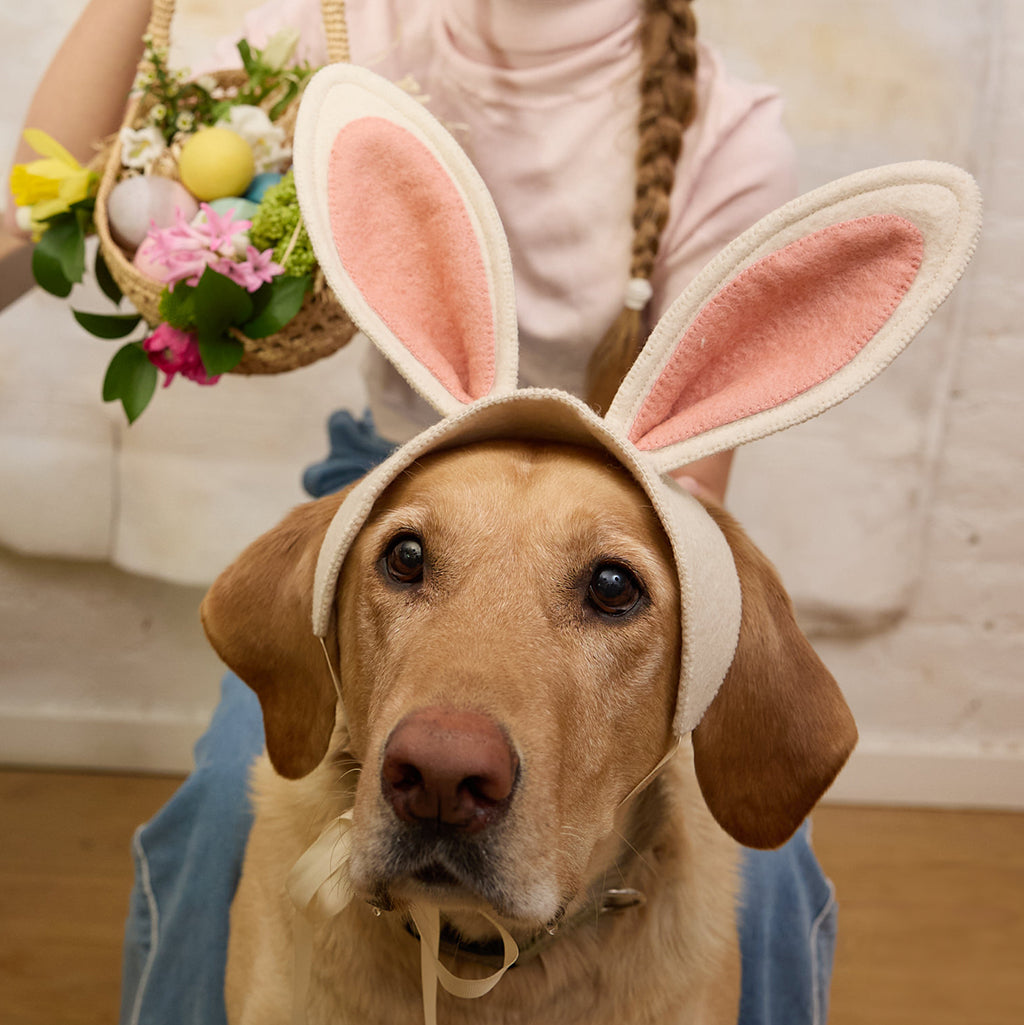 Vintage Bunny Ears Headband