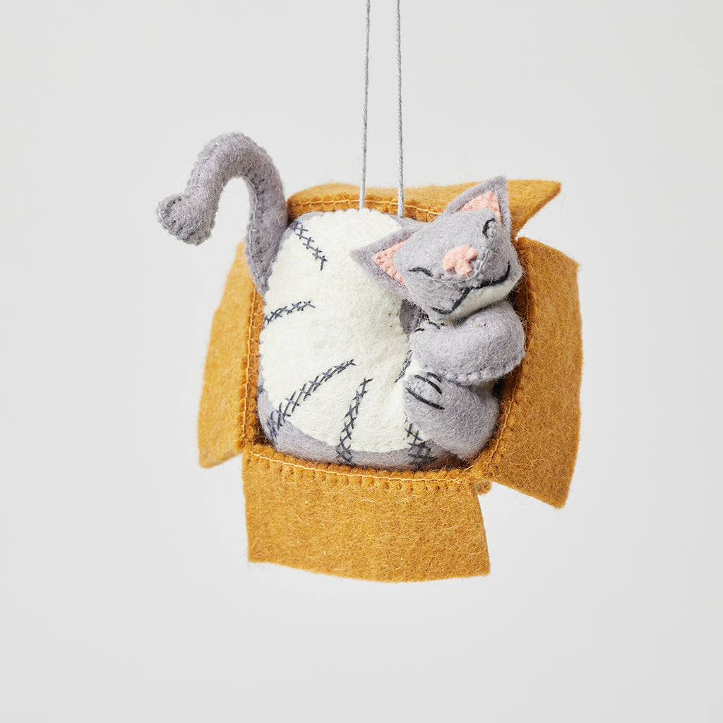 Cat in a Box Ornament