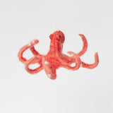 Coral My Octopus Teacher Ornament