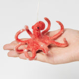 Coral My Octopus Teacher Ornament