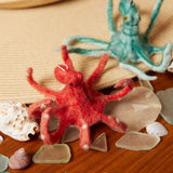 Coral My Octopus Teacher Ornament