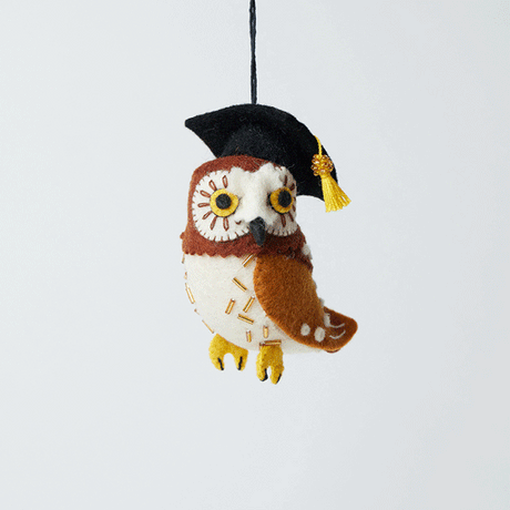 Graduation Owl Ornament