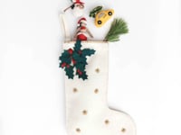 Contemporary Red Winter Berry Stocking