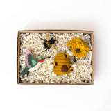 Birds and the Bee's Gift Box Set