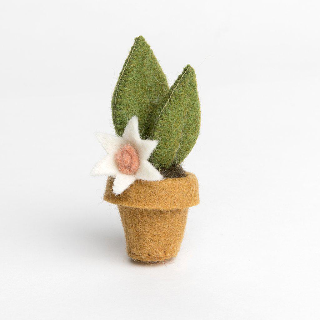 Hand Felted Blooming Snake Cactus Plant Ornament – Craftspring