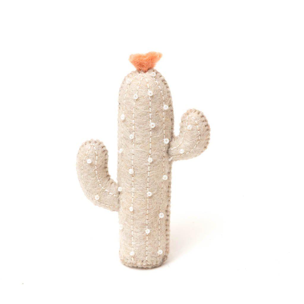 Eggshell Desert Magic Cactus Ornament