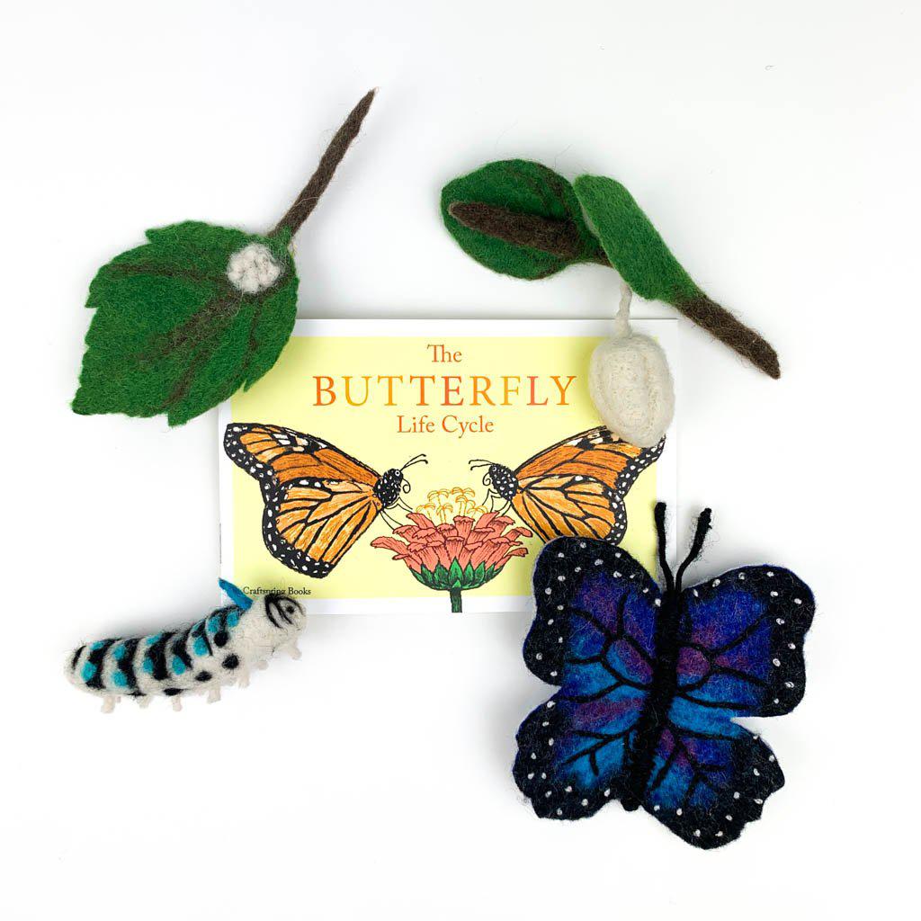 Life Cycle of a Blue Morpho Butterfly Learning Kit