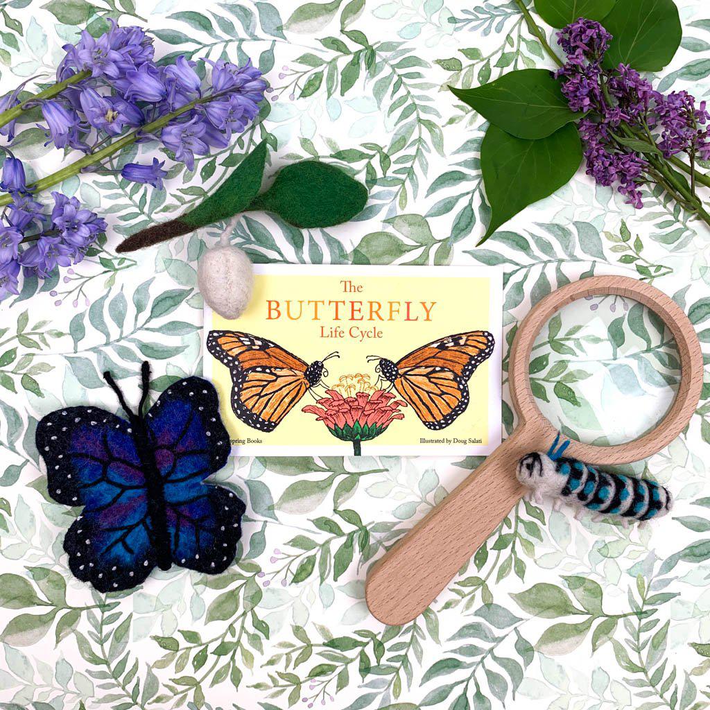 Life Cycle of a Blue Morpho Butterfly Learning Kit