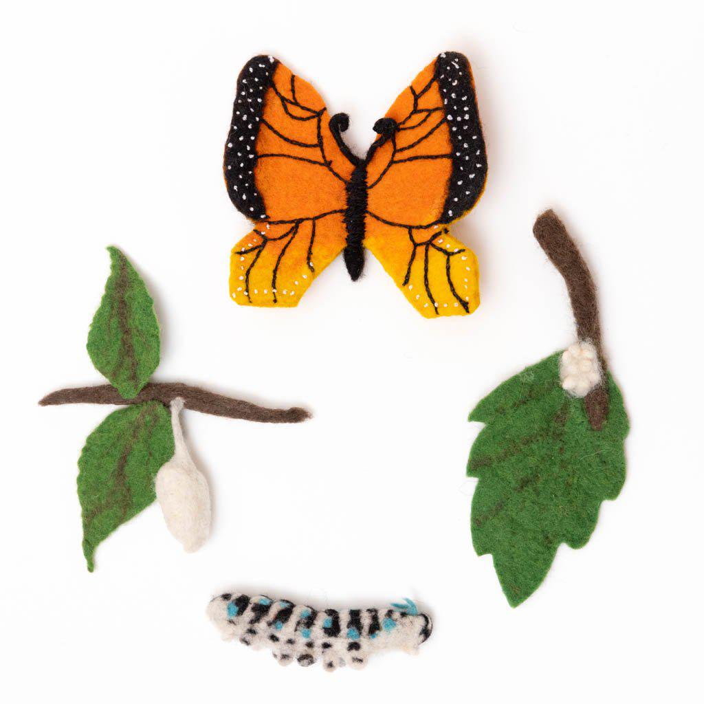 Life Cycle of a Monarch Butterfly Learning Kit