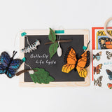 Life Cycle of a Monarch Butterfly Learning Kit